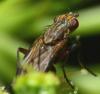 223897 – Photo : Philippe Legros – France (94)